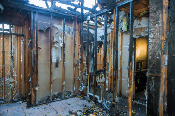Professional Odor Removal technician working in Grantsburg, WI