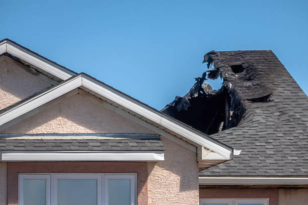 Top rated local Odor Removal specialists in Grantsburg, WI